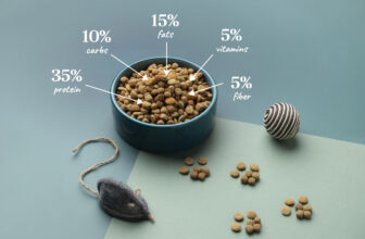 Top 10 Nutrient-Rich Foods for Your Pet’s Optimal Health