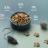 Understanding Payroll Basics: A Comprehensive Guide for Small Businesses